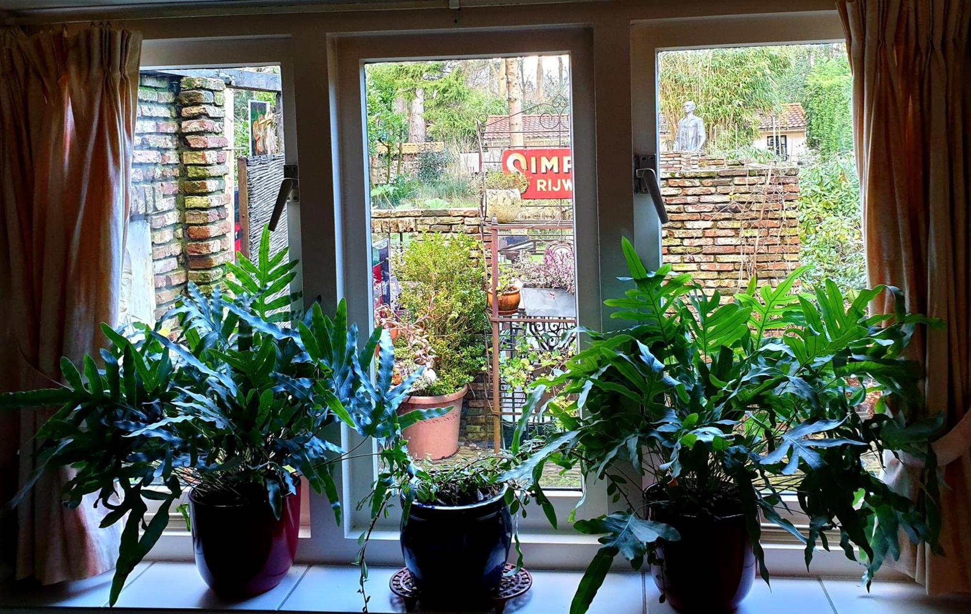 L'Amour Pur スコールル 部屋 写真